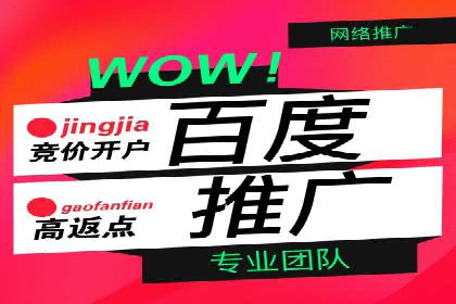案例分享：百度推广助力企业实现多元化发展